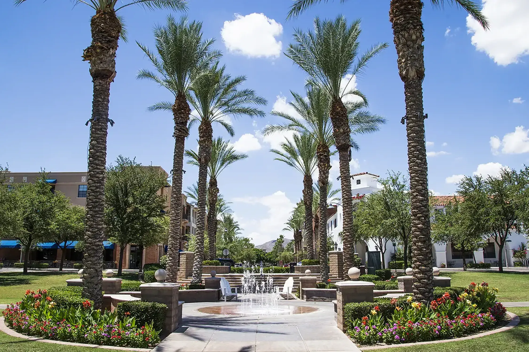 Property management services for rental properties in Buckeye, Arizona including Verrado, Sundance, and Festival Ranch